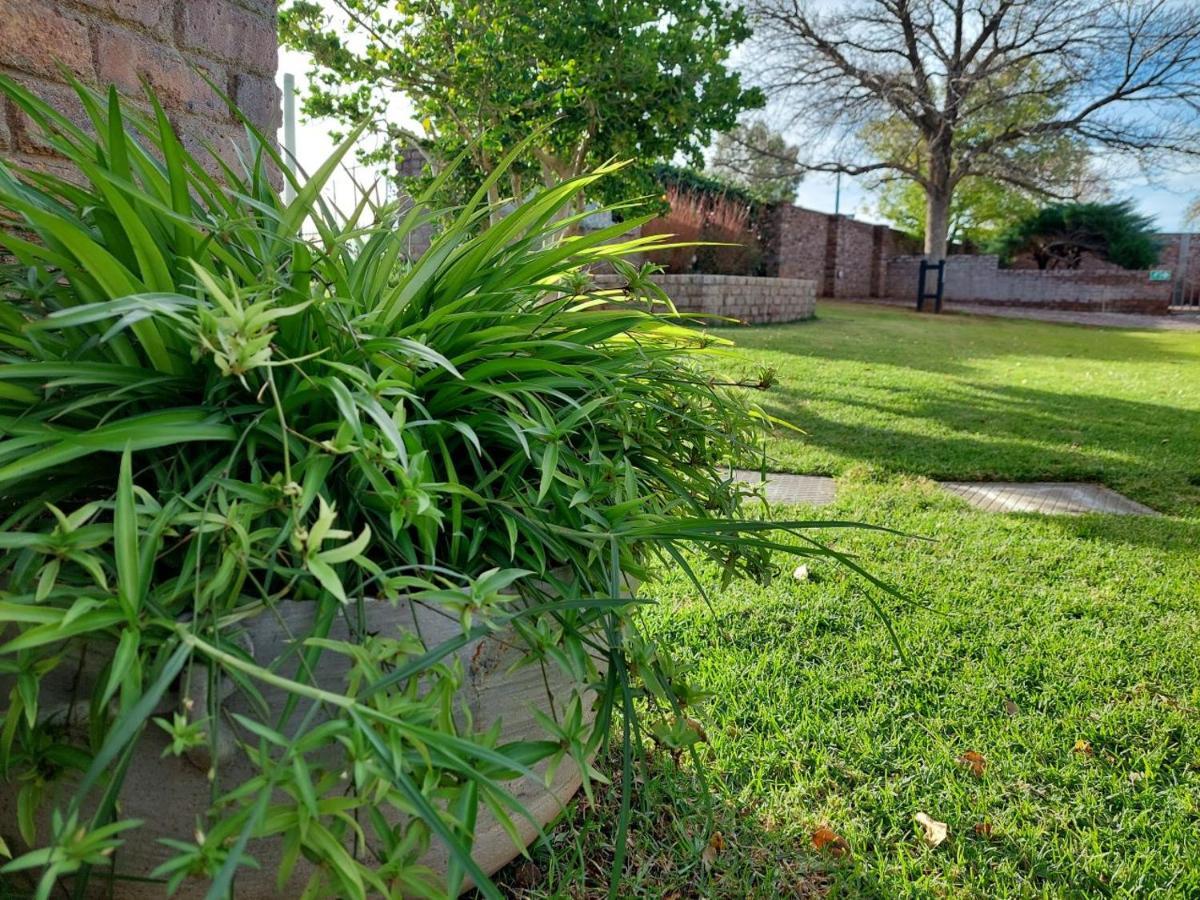 Aloes Guest House 62 On Meintjies Middelburg  Экстерьер фото